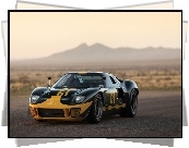 Ford gt40