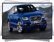 Audi SQ5, Samochód