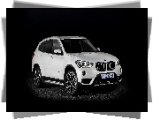 Białe, BMW X1 xDrive25i F48, 2015