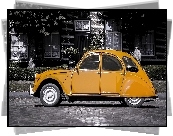 Żółty, Citroën 2CV, Dom