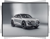 Audi E-tron Sportback Concept, 2017