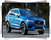 Niebieskie, Volvo XC60, 2017, Las