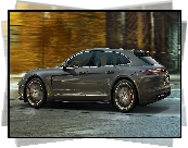 Porsche Panamera Sport Turismo, 2017