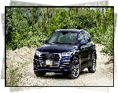 Audi Q5 TFSI Quattro SUV Navarra Blue, 2017, Kaktusy