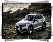 Audi Q5 3.0 TDI Quattro, SUV, Florett Silver, 2017