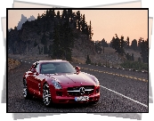 Mercedes-Benz SLS AMG, 2010