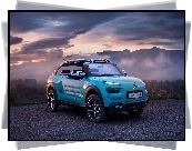 Citroen Cactus M Concept, 2015

