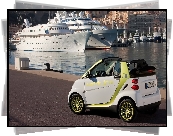 Smart Fortwo Electric Drive, 2011, Statki