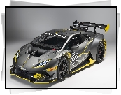 Samochód Rajdowy, Lamborghini Huracan Super Trofeo Evo, 2017