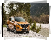 Ford Edge, 2016