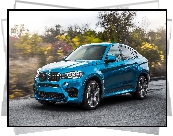 Niebieskie, BMW X6 F86, 2015