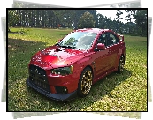 Czerwone, Mitsubishi Lancer Evolution X Rally Red