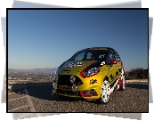 Rajdowy, Ford Fiesta ST, 2015