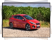 Kia Pro Ceed GT-Line, 2016