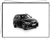 BMW AC Schnitzer ACS3 3-Series Touring F31, 2015