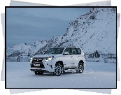 Biały, Lexus GX 460, 2014