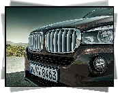 BMW X5 E70, Grill