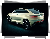 Skoda Vision E Concept, Prototyp