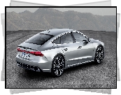 Srebrne, Audi A7 Sportback, 2018