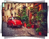 Fiat 500, Ulica, Rośliny