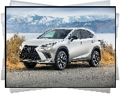 Lexus NX 300h, Góry