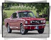 Czerwony, Ford Mustang, 1966, Zabytkowy