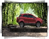 Ford EcoSport, Drzewa, Las