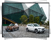 Brązowy, Biały, Dwa, BMW X1 F48