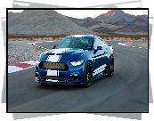 Ford Mustang Shelby Super Snake