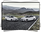 Dwa, Białe, Samochody, Skoda Octavia