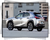 Srebrny, Lexus UX200, Budynek