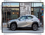 Srebrny, Lexus UX200