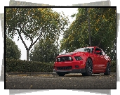 Ford Mustang, 2013, Czerwony