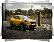 BMW X2, AC Schnitzer