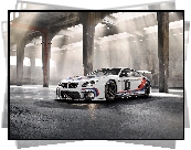 BMW M6 F13 GT3, Rajdowy