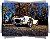 Zabytkowy, AC Cobra 427, Shelby, 1967