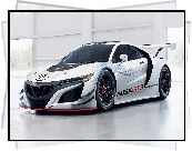 Acura NSX GT3