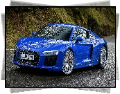 Niebieskie, Audi R8, Coupe