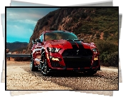 Ford Mustang Shelby GT500, Przód