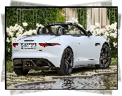 Jaguar F-Type 400, Cabrio