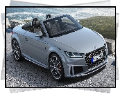 Audi TT III Roadster