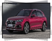 Czerwone, Audi Q5