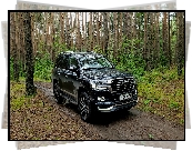 Czarna, Toyota Land Cruiser, Las