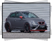 Seat Leon Cupra, Bok