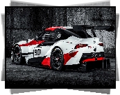 Samochód rajdowy, Toyota GR Supra