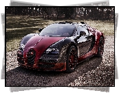 Bugatti Veyron Grand Sport Vitesse, La Finale, Przód