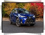 Niebieski, Lexus UX 200 F Sport