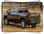 Chevrolet Silverado 2500 Heavy Duty, HD, Crew Cab