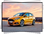 Żółty, Ford Focus ST, 2019