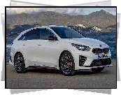 Biała, Kia ProCeed GT